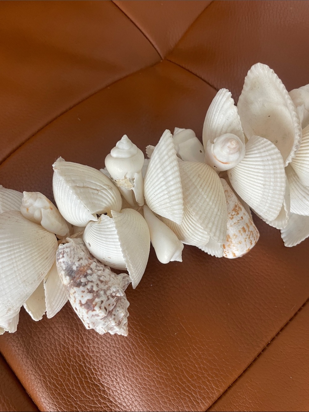 Shell Decor Strand - Picture 4 of 7